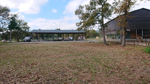 125-110(24-24)キャンプ&農園玖珠の杜209