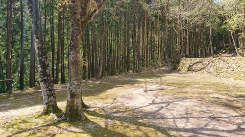 95-80(50-44)小鳥の森キャンプ場464