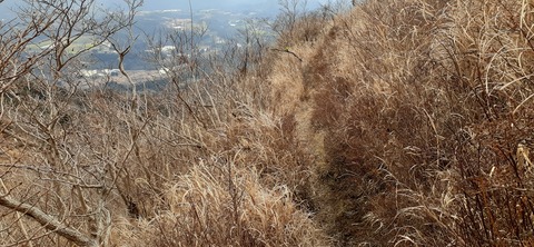 245-227(34-32)奥霧島御池107_120901