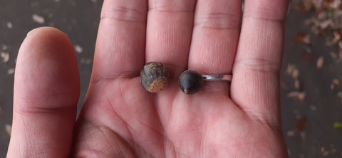 237-220(26-25)るるパーク1111_130031