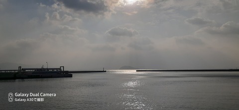 131-116(30-30)大島津和瀬キャンプ場292609