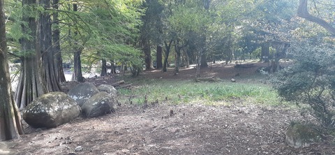 234-217(23-22)広川原キャンプ場1028_131020