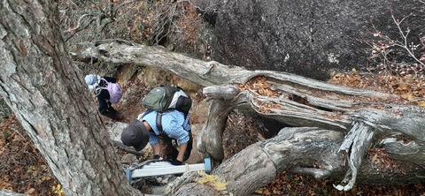 236-219(25-24)大崩山1104_142301