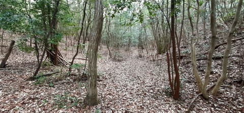 144-129(43-43)スゼンジハウスオープンエア26_105838