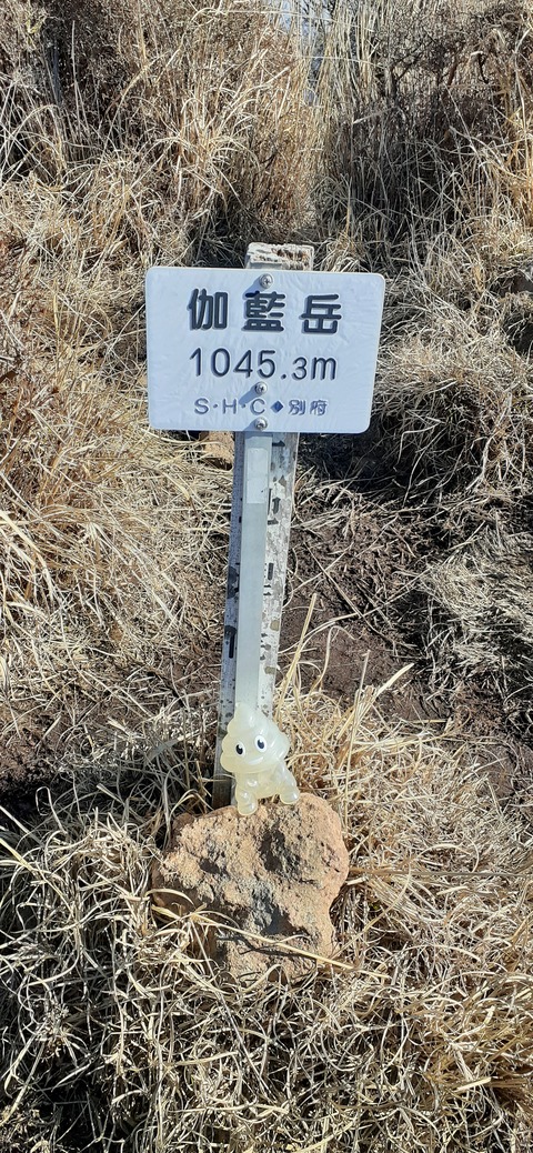 251-232(40-37)伽藍岳ゲリラキャン303_095800