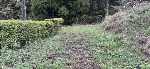 152-137(51-51)阿蘇夢蛍キャンプ場429_131121