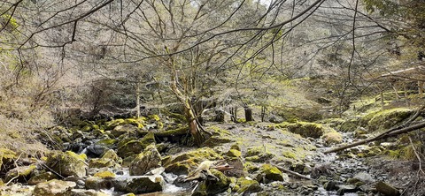 202-186(44-43)八木山渓流公園325_144205