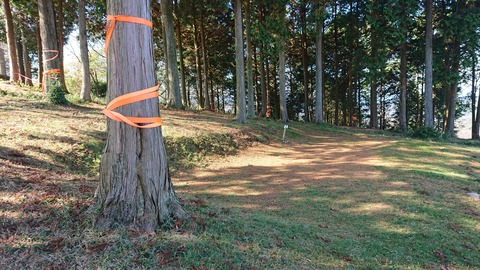 72-59(27-23)横岳キャンプ場569S