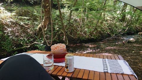 114-99(13-13)9.BASE 519