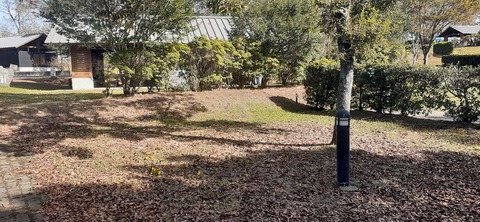 237-220(26-25)るるパーク1111_122037