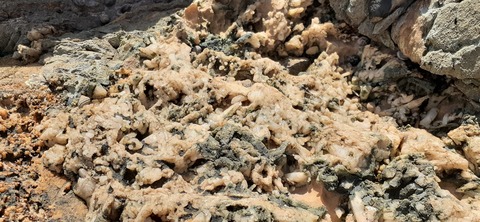 189-173(31-30)大島加代海岸103_133858