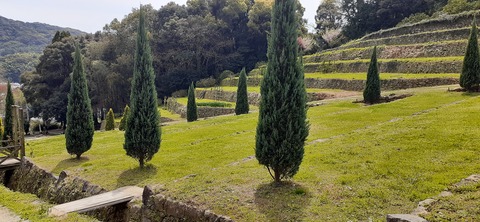 149-134(48-48)橘香園2_122309