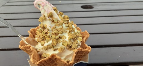 194-178(36-35)ゴンドーシャロレー⑨212_140011