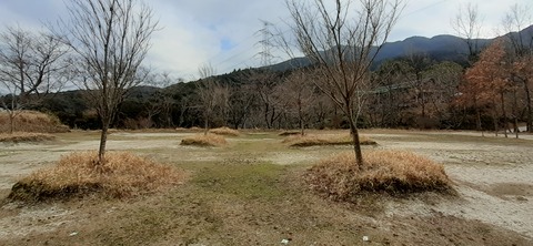 138-123(37-37)sleepy cafe nico22_131140