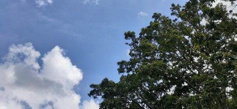 228-211(17-16)泉水キャンプ村909_131745