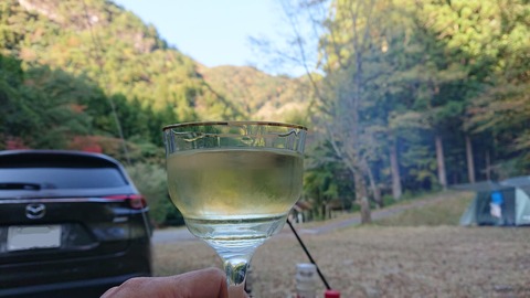 68-55(23-19)藤河内渓谷キャンプ場256SR