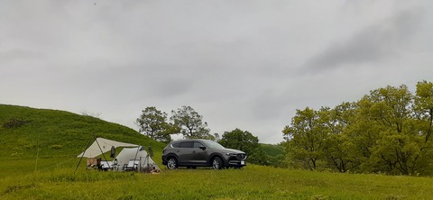 159-144(1-1)遊牧民521_130000R