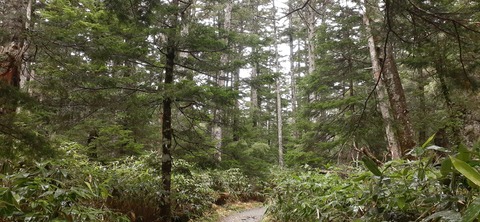 272-252(9-8) 上高地穂高岳814_074537