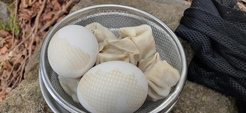 251-232(40-37)伽藍岳ゲリラキャン303_110527