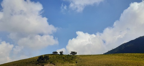 178-163(20-20)グランヴェルデリゾート1015_133304