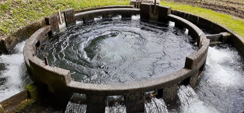 158-143(57-57)陽目の里キャンピングパーク507_135756