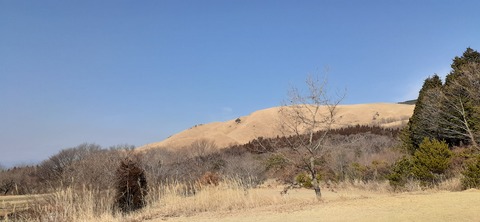 194-178(36-35)ゴンドーシャロレー⑨212_103600