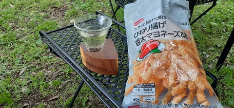 158-143(57-57)陽目の里キャンピングパーク507_145523