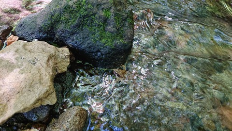 114-99(13-13)9.BASE 497