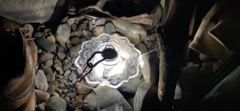 189-173(31-30)大島加代海岸103_211238