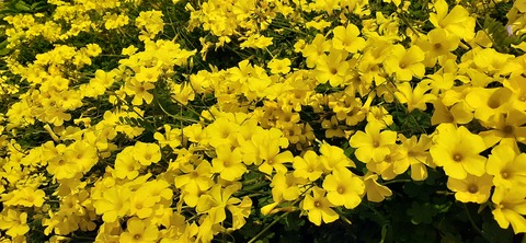 254-235(43-40)長崎鼻リゾート②330_120219