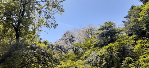 209-193(51-50)えびの高原キャンプ村503_115808