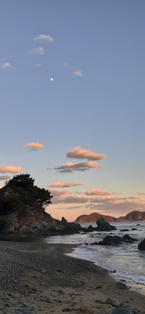 189-173(31-30)大島加代海岸103_170849