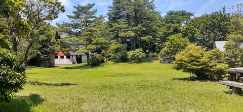 164-149(6-6)長野山緑地公園702_112048