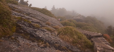 260-241(49-46)宮之浦岳淀川小屋501_100007
