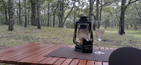 172-157(14-14)くじゅう自然動物園903_123535