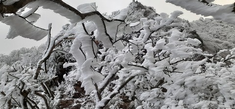 250-231(39-36)RECAMP志高湖 由布岳211_074447