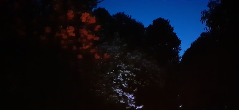 150-1345(49-49)吉井百年公園9_191625
