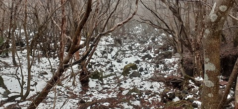 245-227(34-32)法華院温泉山荘103_131913