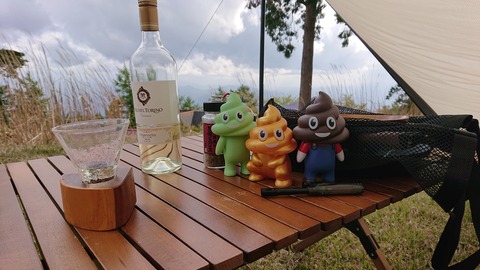 99-84(54-48)四季見原すこやかの森923