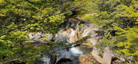 155-140(54-54)うめキャンプ村504_105532