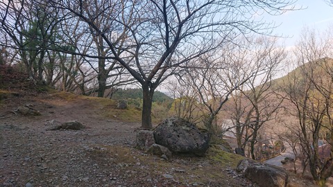 88-74(43-38)昭和の森一本松サイト926