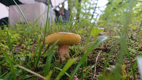 109-94(8-8)背振山キャンプ場828