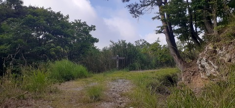 268-248(5-4)万年山616_075813