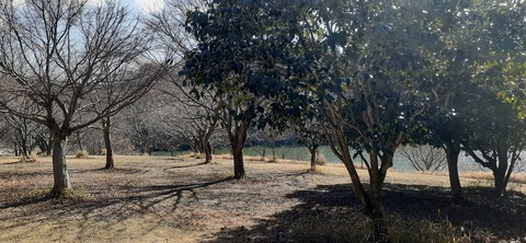 249-230(38-35)RECAMP志高湖210_144100