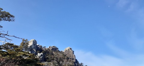 236-219(25-24)大崩山1104_093750