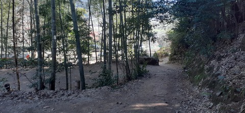 193-177(35-34)峰やしき205_111525