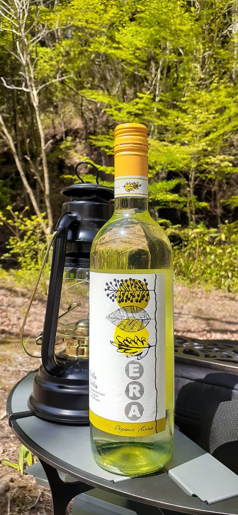 153-138(52-52)マゼノ 甲の瀬キャンプ村430_134923