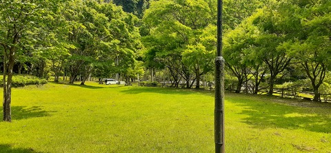 211-195(53-52)猿ヶ城キャンプ場505_130654