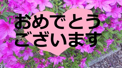 97-82(52-46)江汐公園キャンプ場760SR