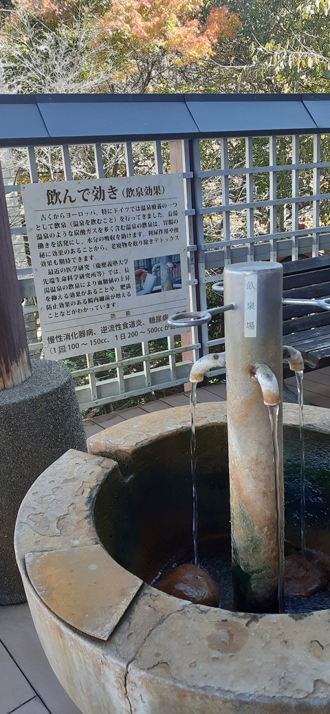 182-166(24-23)長湯きらりキャンプ場1105_114229